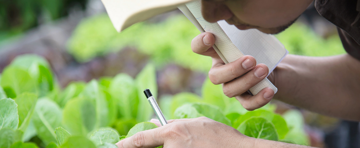 ایزو کشاورزی مطلوب