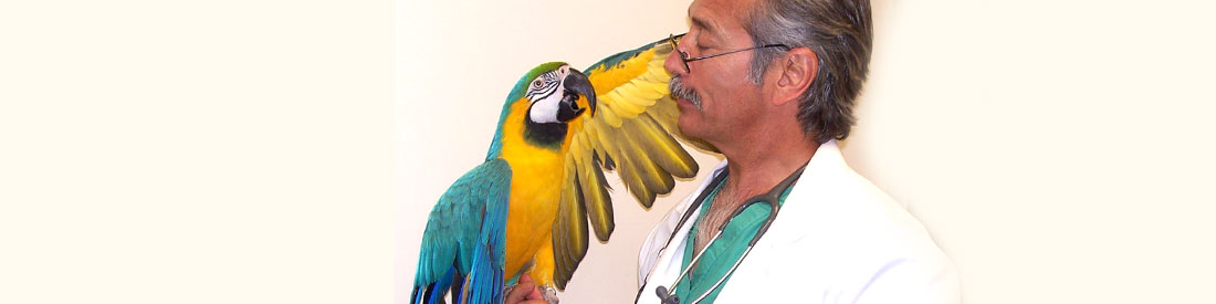 روز دامپزشک