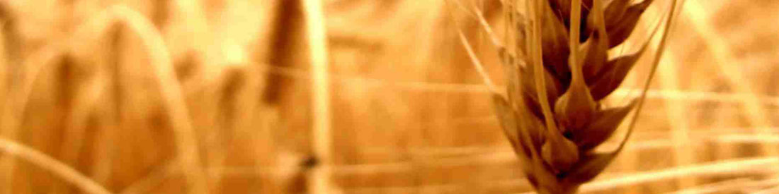 روز جهانی کشاورزی مدرک گواهینامه کاوش