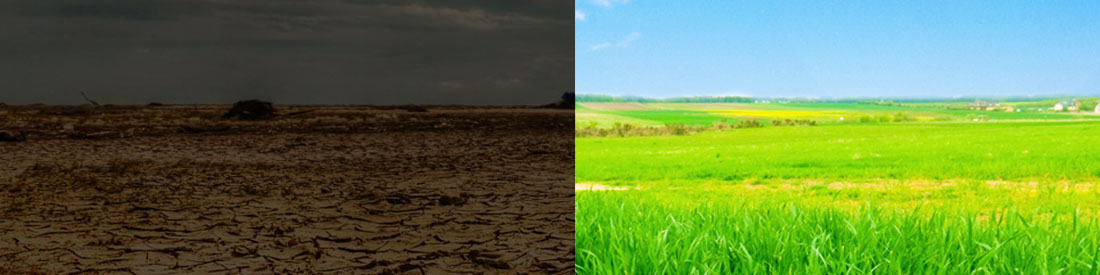 کاوش بیابان زدایی