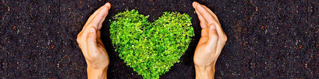 روز جهانی محیط زیست